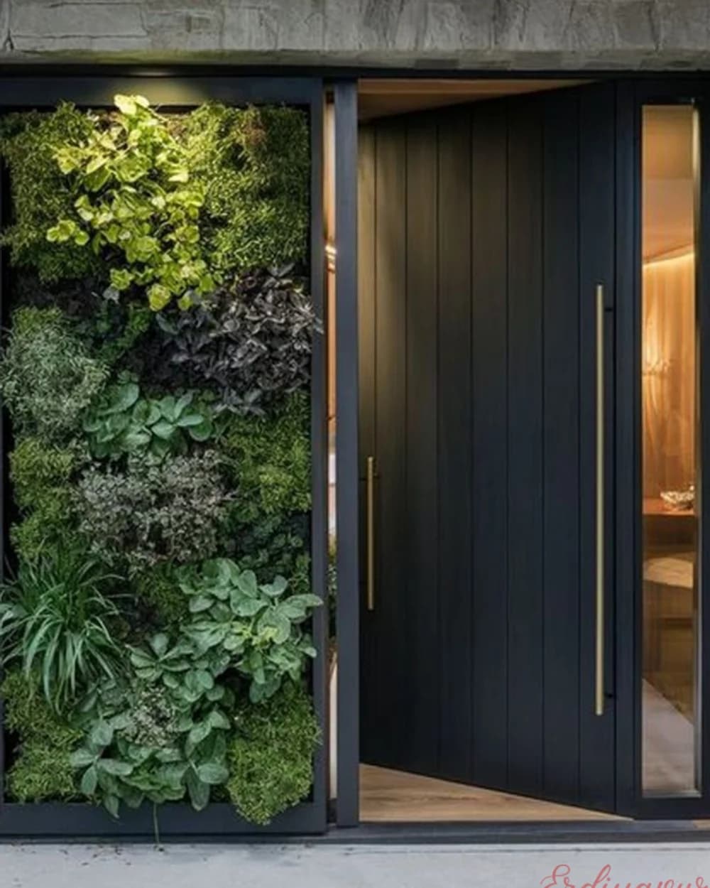 Wide Anthracite Pivot Door at an Entrance with a Plant Wall — product code BY-307